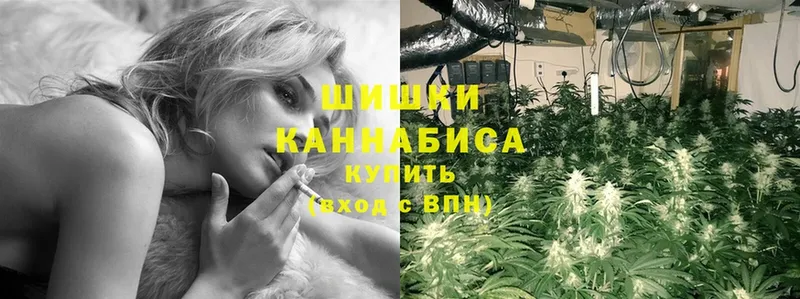 купить наркотик  Александровск  Конопля THC 21% 